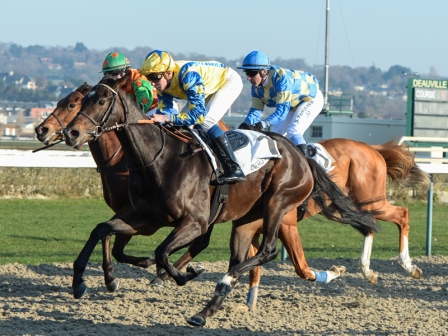 A HUIS CLOS - Courses hippiques à Deauville-La Touques