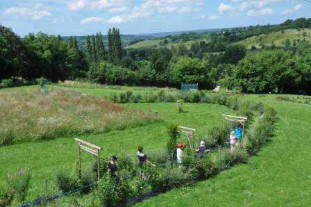 La biodiversité à travers les sens