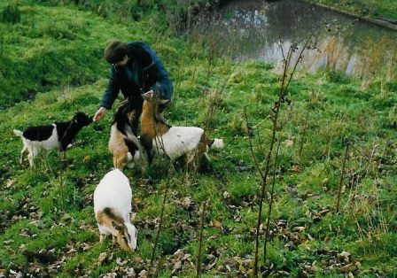 Promenade champêtre avec la chèvre Sybelle